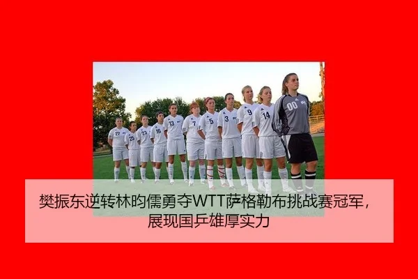 fan-zhen-dong-ni-zhuan-lin-yun-ru-yong-duo-sa-ge-lei-bu-tiao-zhan-sai-guan-jun-zhan-xian-guo-ping-xiong-hou-shi-li-2-211.jpg