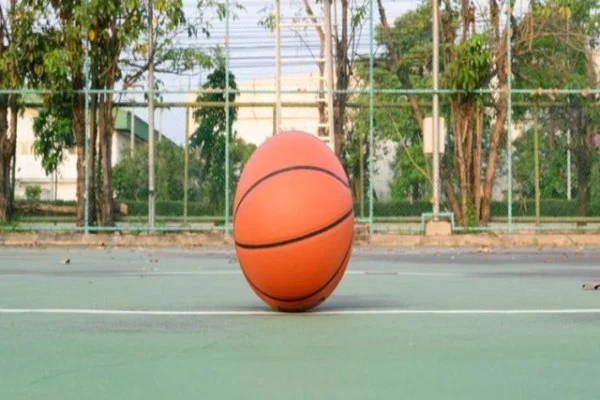 NBA独行侠训练营开启 欧文伤病恢复与西部竞争全新格局分析